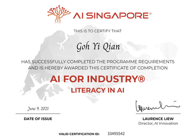 AI Literacy by AI Singapore